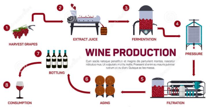 葡萄酒是如何制作的？