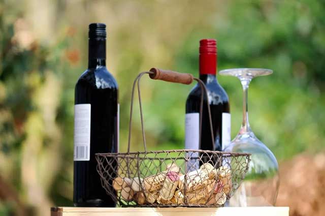 葡萄酒文化丨阿根廷葡萄酒文化的发展(图2)